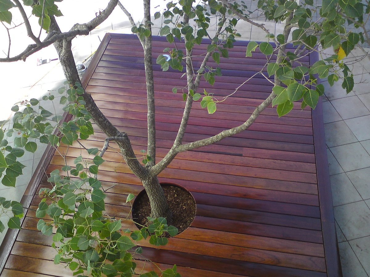 Rushcutters Bay Decking