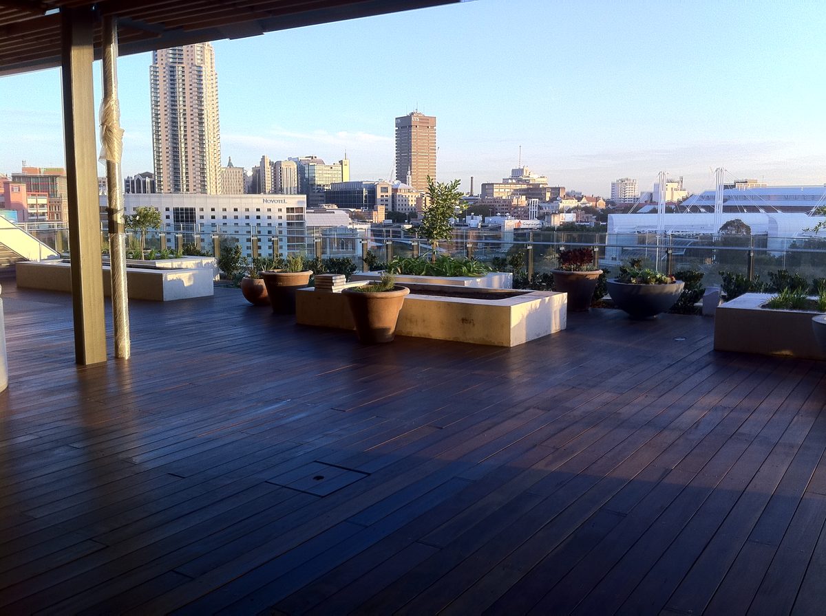 Darling Quarter waterfront, timber deck with urban backdrop